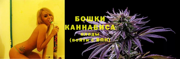 дмт Гусь-Хрустальный