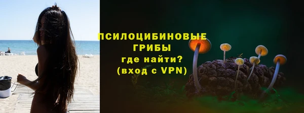 дмт Гусь-Хрустальный