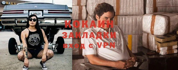 соль ск Гусев