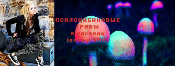 соль ск Гусев