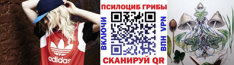 Псилоцибиновые грибы ЛСД  Купить где  Полярный 